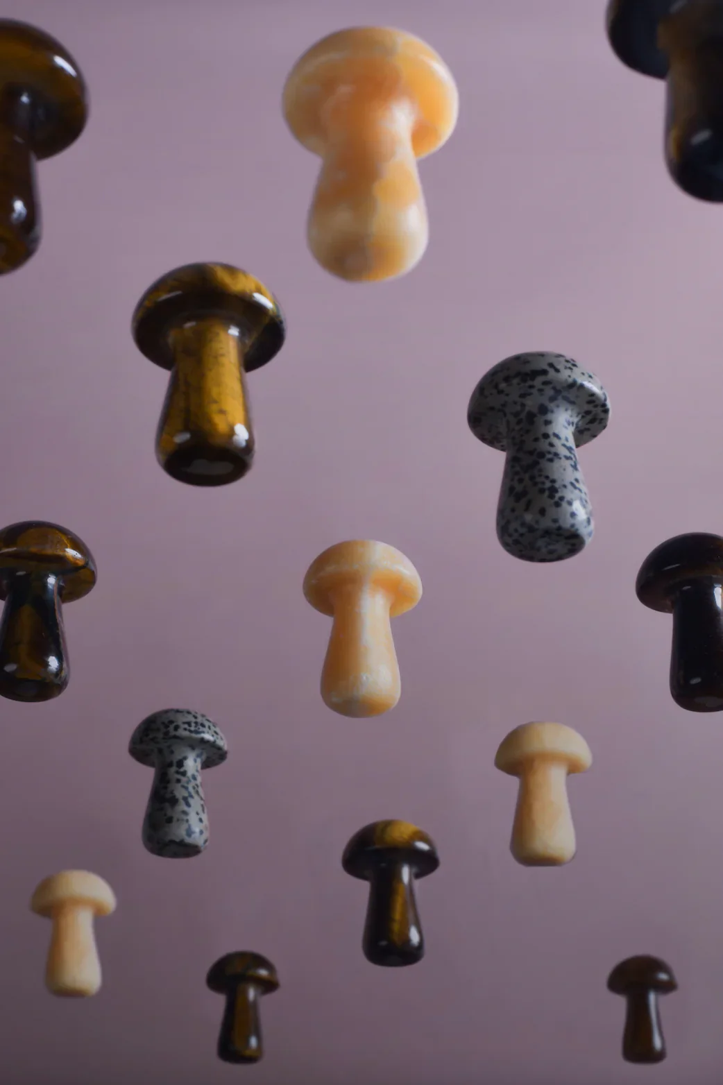 Herbar | Gua-Shroom - Image 3