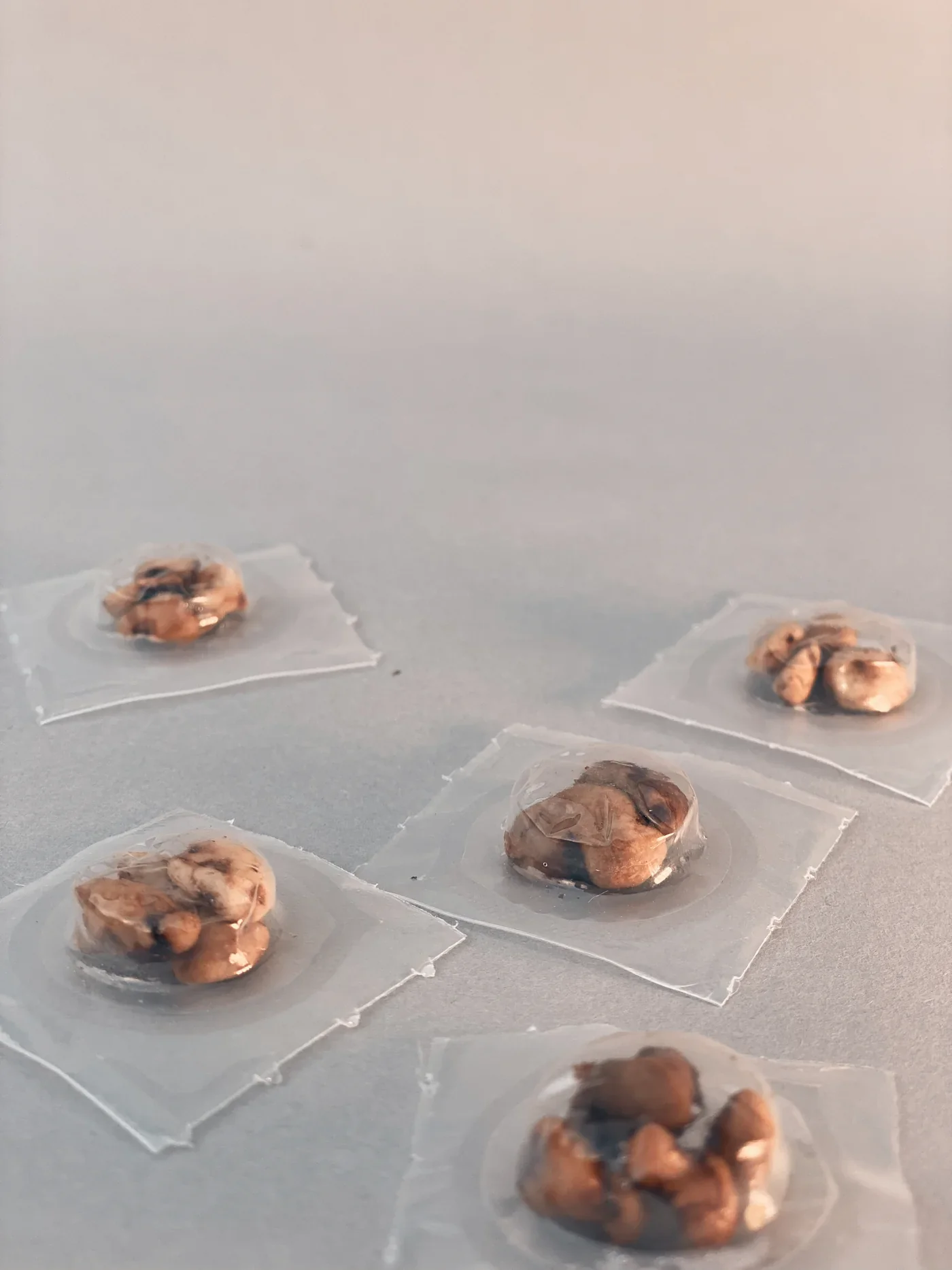 Microdosing Brain Kit | Brain fitness + Lions Mane - Image 3